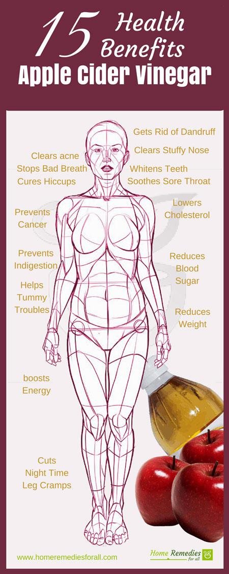 benefits apple cider vinegar infographic