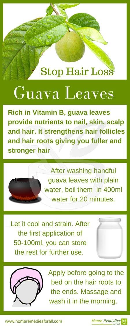 guava leaves for hair loss infographic