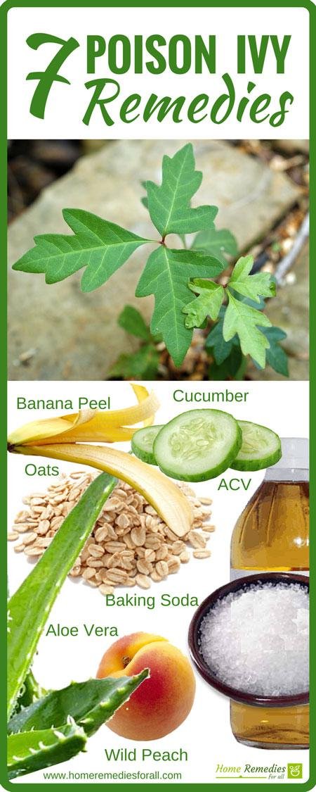 poison ivy remedies infographic