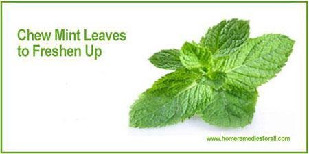 Bad Breath Home Remedies - Mint Leaves