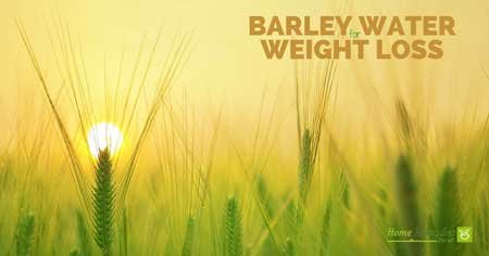 barley water for weight loss