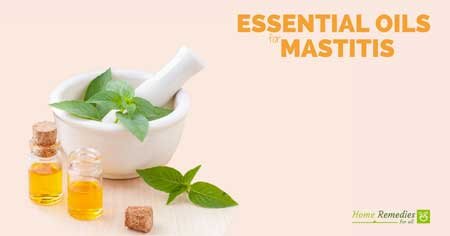 essential oils for mastitis