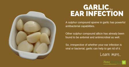 garlic for ear infection