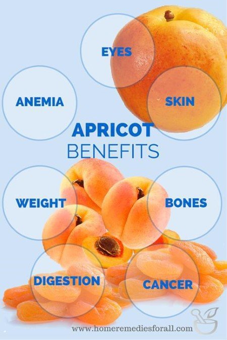 7 Health Benefits of Apricot