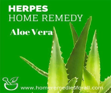 Natural Home Remedies for Herpes Aloe Vera