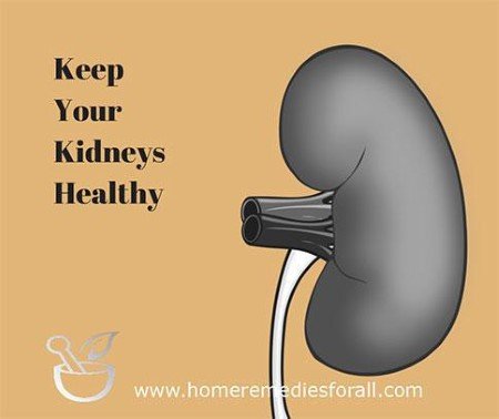 Kidney Stone Home Remedies - Keep Kidneys Healthy