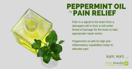 peppermint oil for pain