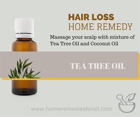 Picture of Home Remedies for hair Loss Tea Tree Oil